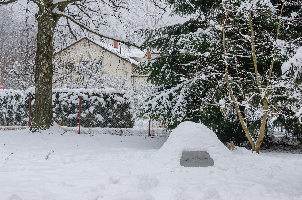 Penzion Sportino Svoboda nad Upou Exterior photo